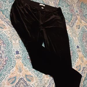 Cato velvet pants